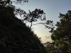 -梧桐山风景名胜区