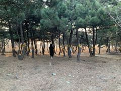 -鬼笑石后山停车场