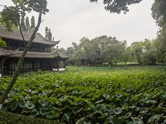 -桂湖森林公园
