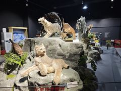 -厦门诚毅自然探索馆