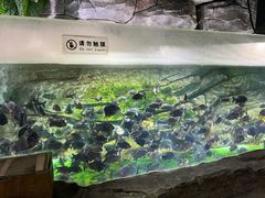 -泉城欧乐堡海洋极地世界