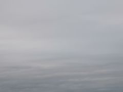 -鲜芋仙(财富中心店)