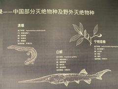 -中国湿地博物馆