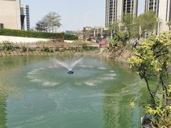 -翔雄农庄