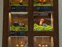 -菌自由丨野生菌火锅特色庭院餐厅(丽江古城店)