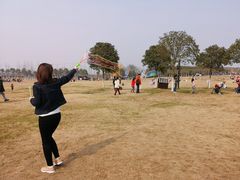 -武汉紫薇都市田园