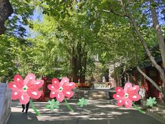 -潭柘寺景区