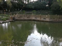 -瀛洲公园