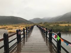 -泸沽湖国家级风景名胜区走婚桥