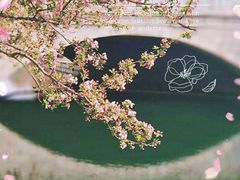 -海棠花溪(元大都城垣遗址公园)