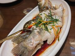 -岭南小生·粤港点心(南门口店)