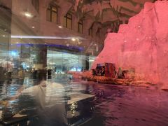 -帝企鹅自助餐厅•儿童岛•真企鹅(长隆企鹅酒店)