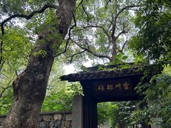 -杭州植物园