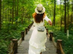 -桤木河湿地公园