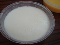 双皮奶-大良李禧记崩沙