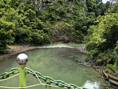 -芦茨金富饭庄·25年老字号·专做稻草鸡