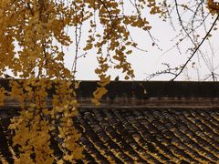 -成都市文殊院