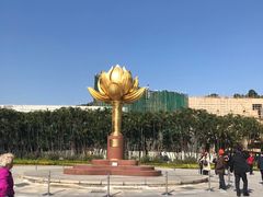 -金莲花广场