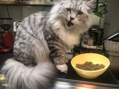 -小时光咖啡馆(北锣鼓巷店)