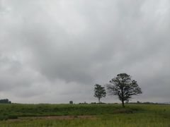 -汉长安城未央宫国家考古遗址公园