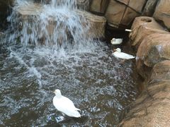 -辛玛王国游乐园