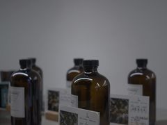 -野鸽子咖啡(中航店)