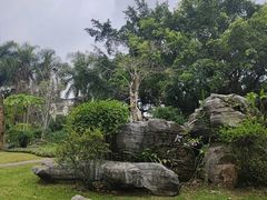 -广西壮族自治区药用植物园