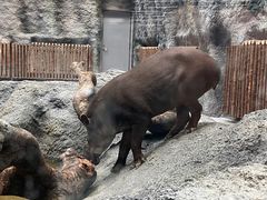-武汉动物园