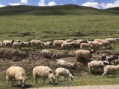 -青海湖国家重点风景名胜区