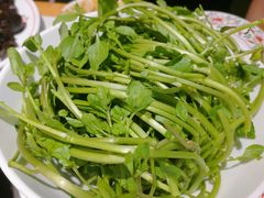 潮汕西洋菜-汕头八合里海记牛肉店(清河店)