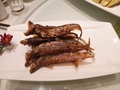 上海烤仔鱼-金时代顺风大酒店(协泰店)
