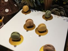 -上海东方佘山翰悦阁酒店·Vie全日制餐厅