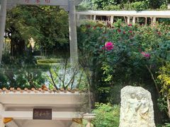 -人民公园(罗湖区)