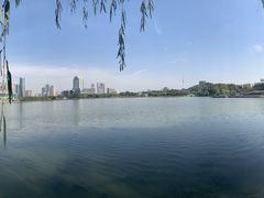 -月湖风景区