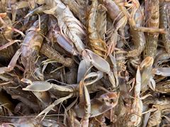 -鱼市酒店(威海水产批发市场店)