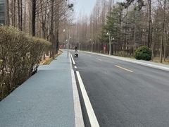 -日照海滨国家森林公园