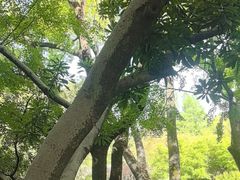 -汇龙潭