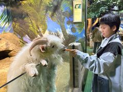 -苏州海洋馆