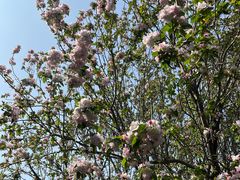 -齐白石旧居纪念馆