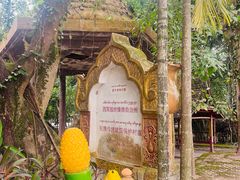 -西双版纳傣族园