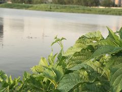 -人杰湖公园(地铁站)