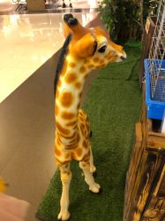 -未来动物城动物主题公园(大悦城店)
