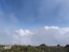 -白草畔自然风景区