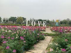 -广东花都香草世界旅游度假区