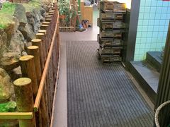 -曾百万小炉小串自助烧烤(高新店)