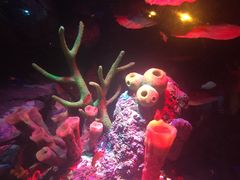 -沈阳海洋探索中心