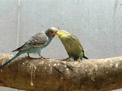 -正佳雨林生态植物园