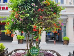 -中山路步行街