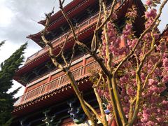 -石岛赤山风景区