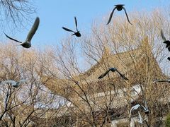 -西园戒幢律寺